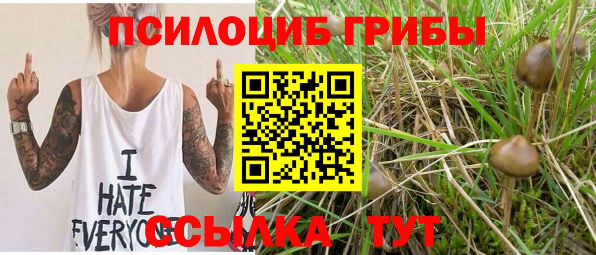 Галлюциногенные грибы Magic Shrooms Кузнецк