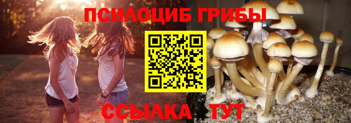 Кузнецк  Псилоцибиновые грибы Magic Shrooms  Вход с VPN 